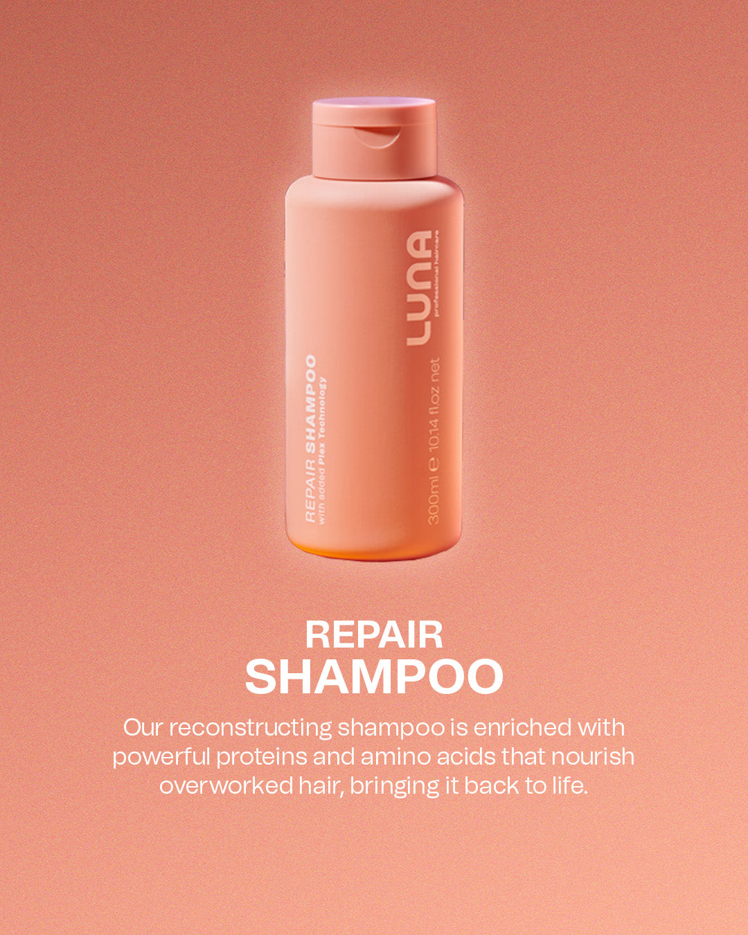 Repair Shampoo